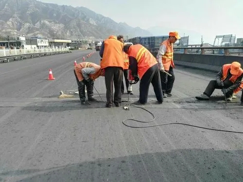 大新道路桥梁病害治理